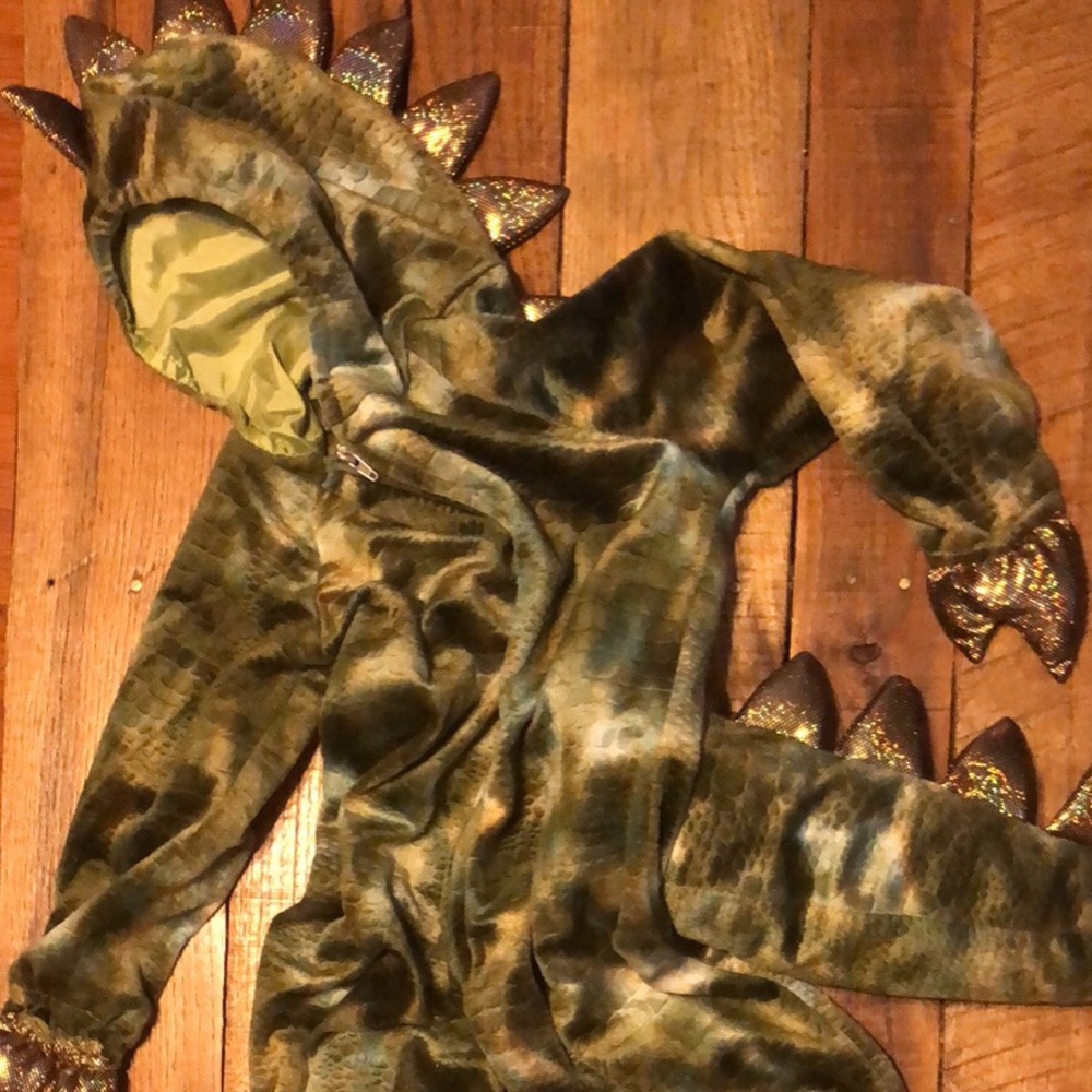 Dinosaur costume